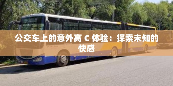 公交车上的意外高 C 体验：探索未知的快感