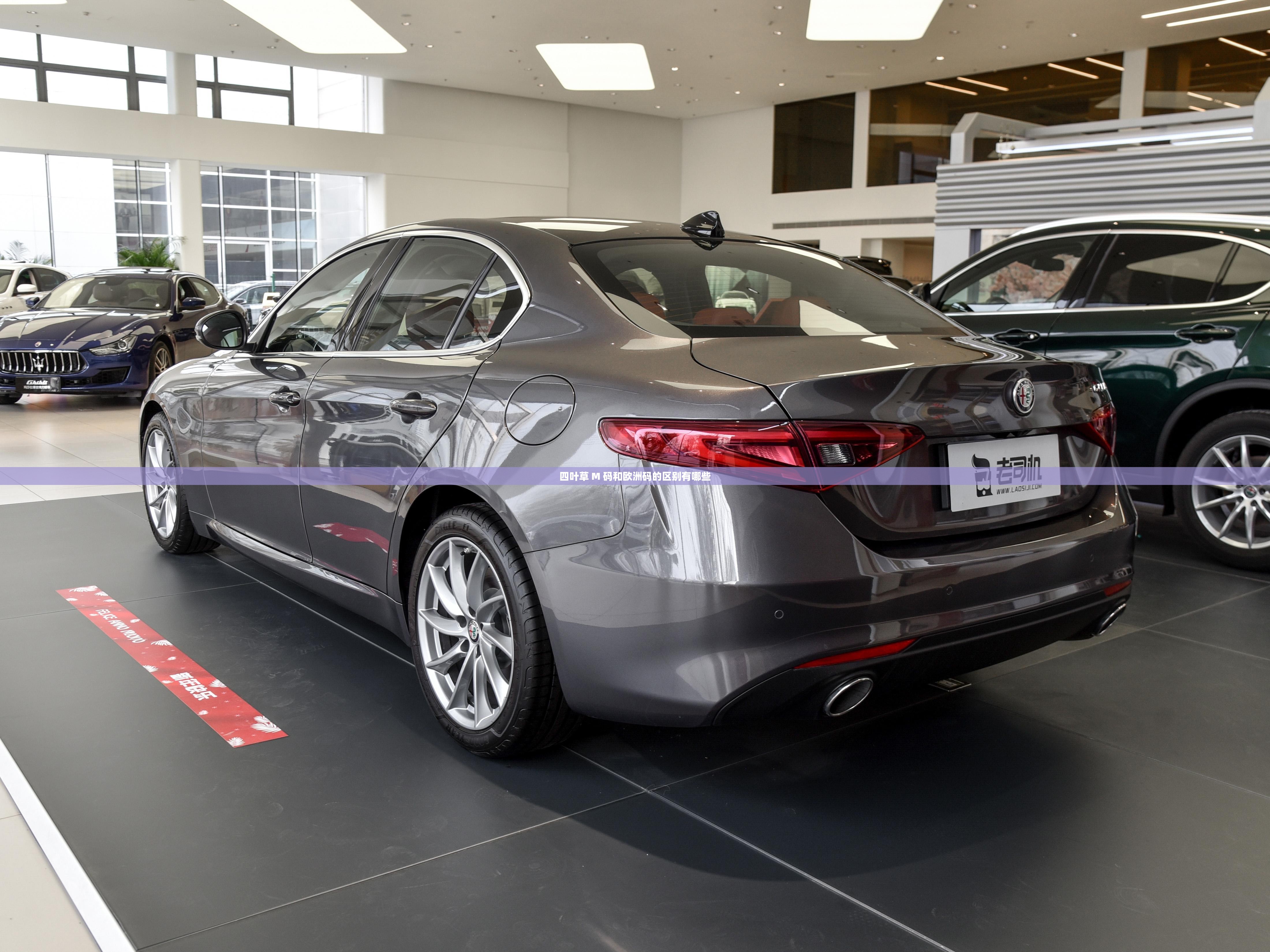 四叶草 M 码和欧洲码的区别有哪些