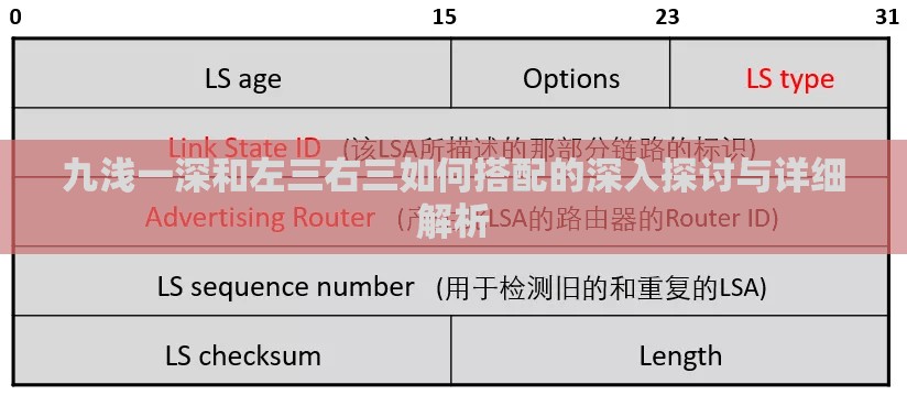 九浅一深和左三右三如何搭配的深入探讨与详细解析