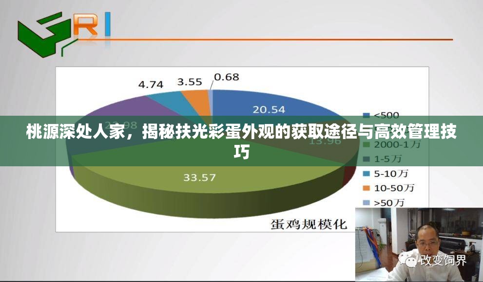 桃源深处人家，揭秘扶光彩蛋外观的获取途径与高效管理技巧