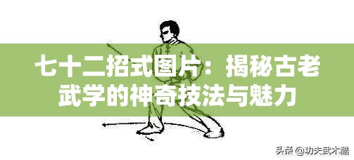 七十二招式图片：揭秘古老武学的神奇技法与魅力