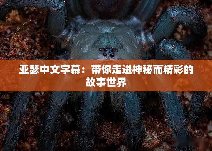 亚瑟中文字幕：带你走进神秘而精彩的故事世界