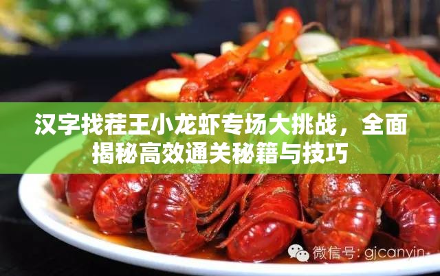 汉字找茬王小龙虾专场大挑战，全面揭秘高效通关秘籍与技巧
