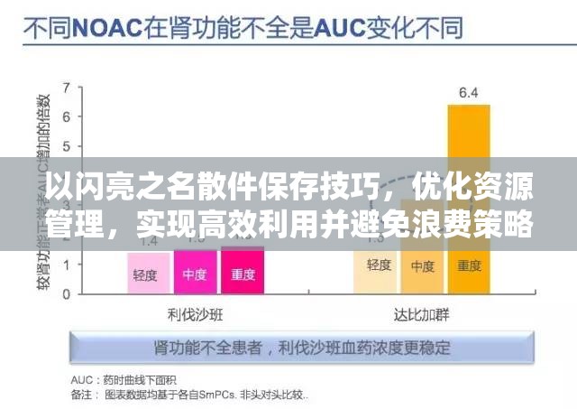 以闪亮之名散件保存技巧，优化资源管理，实现高效利用并避免浪费策略