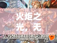 火炬之光，无限父神遗骨资源管理策略与深度解析探讨