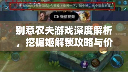 别惹农夫游戏深度解析，挖掘姬解锁攻略与价值最大化技巧