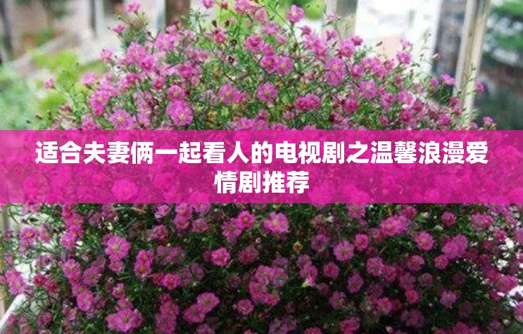 适合夫妻俩一起看人的电视剧之温馨浪漫爱情剧推荐