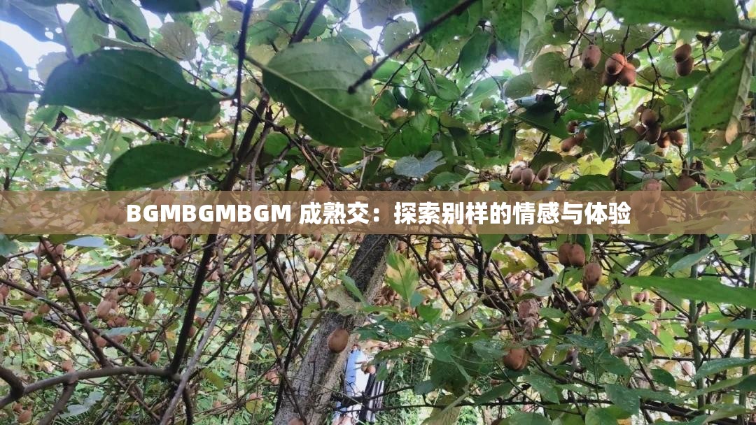 BGMBGMBGM 成熟交：探索别样的情感与体验