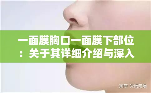 一面膜胸口一面膜下部位：关于其详细介绍与深入分析