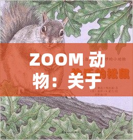 ZOOM 动物：关于它们的奇妙世界与有趣故事