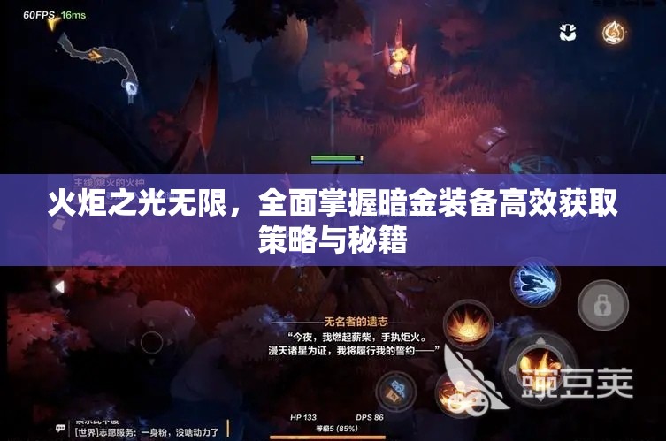 火炬之光无限，全面掌握暗金装备高效获取策略与秘籍