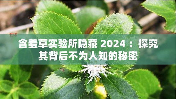 含羞草实验所隐藏 2024 ：探究其背后不为人知的秘密