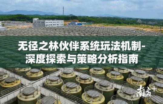 无径之林伙伴系统玩法机制-深度探索与策略分析指南