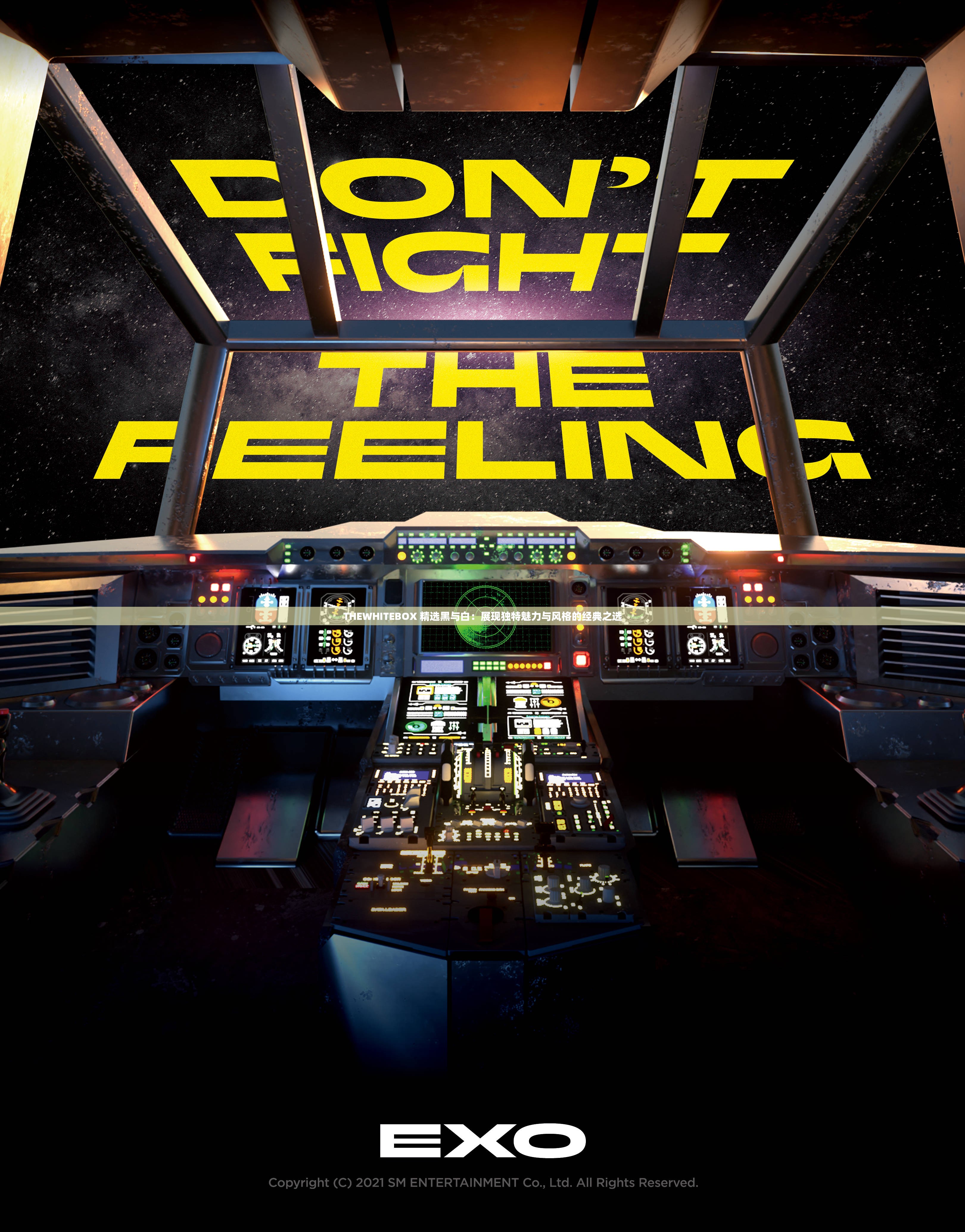 THEWHITEBOX 精选黑与白：展现独特魅力与风格的经典之选