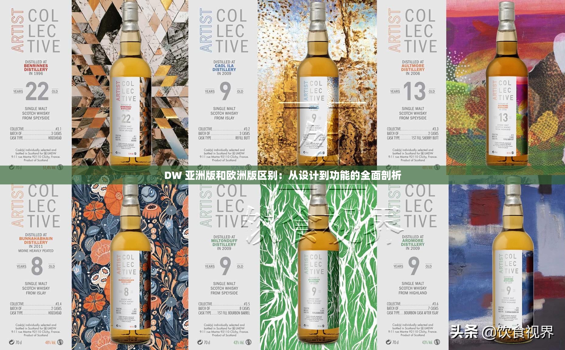 DW 亚洲版和欧洲版区别：从设计到功能的全面剖析