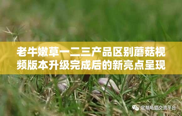 老牛嫩草一二三产品区别蘑菇视频版本升级完成后的新亮点呈现