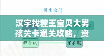 汉字找茬王宝贝大男孩关卡通关攻略，资源管理技巧与高效策略解析