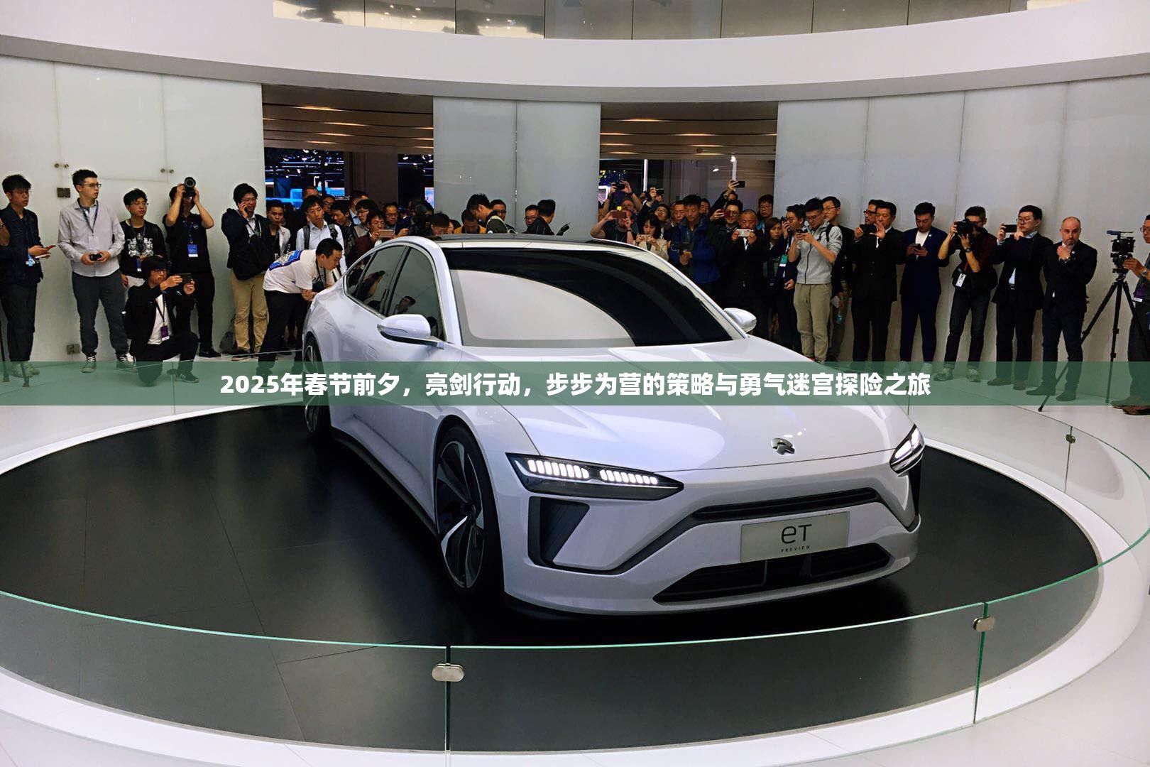 2025年春节前夕，亮剑行动，步步为营的策略与勇气迷宫探险之旅