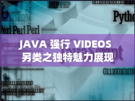 JAVA 强行 VIDEOS 另类之独特魅力展现