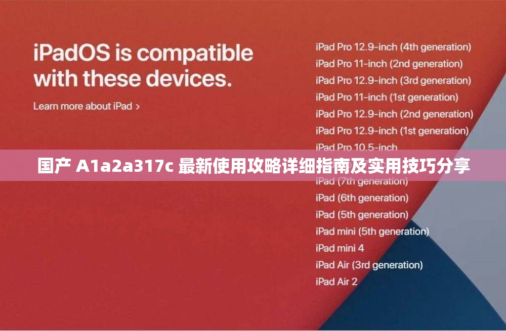 国产 A1a2a317c 最新使用攻略详细指南及实用技巧分享