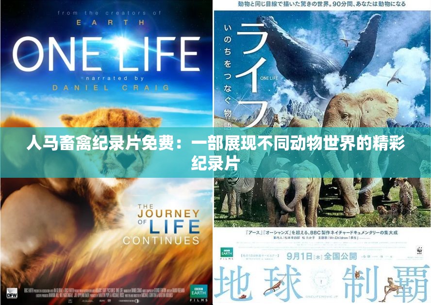 人马畜禽纪录片免费：一部展现不同动物世界的精彩纪录片