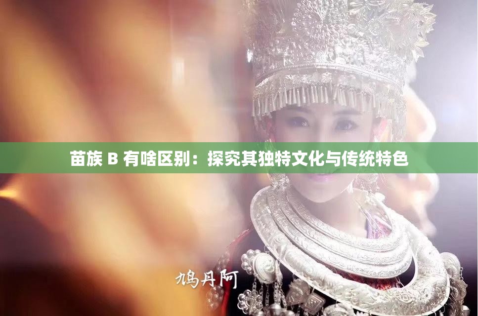 苗族 B 有啥区别：探究其独特文化与传统特色