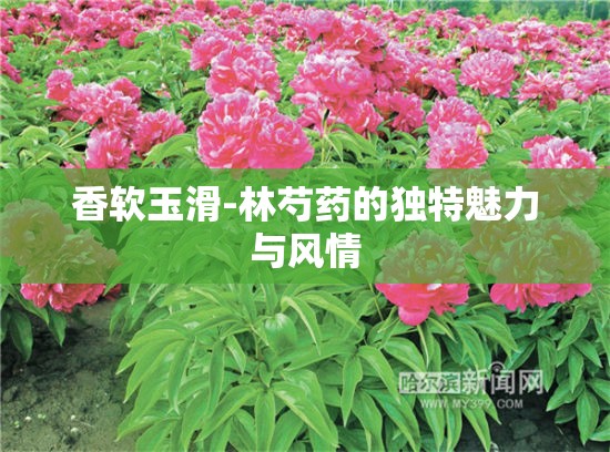 香软玉滑-林芍药的独特魅力与风情