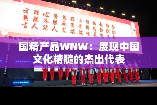 国精产品WNW：展现中国文化精髓的杰出代表