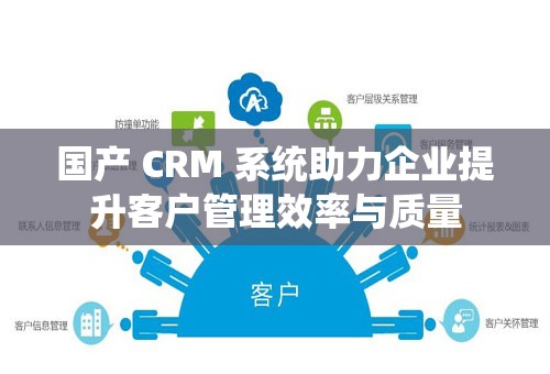 国产 CRM 系统助力企业提升客户管理效率与质量