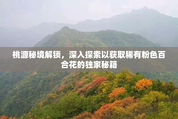 桃源秘境解锁，深入探索以获取稀有粉色百合花的独家秘籍