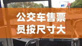 公交车售票员按尺寸大小之特别服务视角探讨