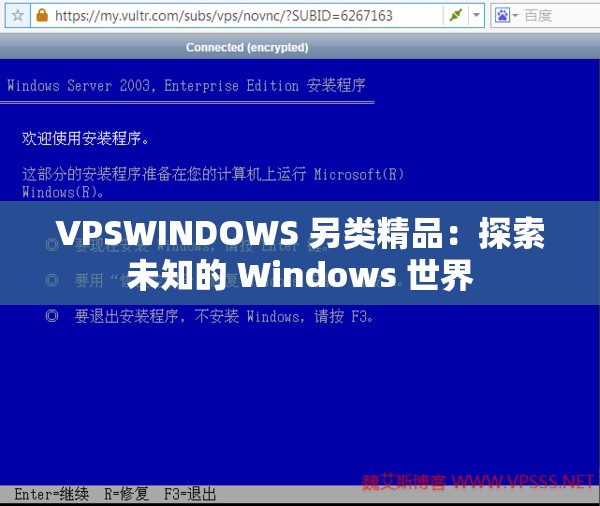 VPSWINDOWS 另类精品：探索未知的 Windows 世界