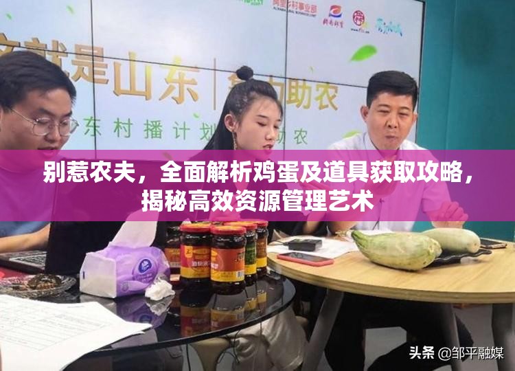 别惹农夫，全面解析鸡蛋及道具获取攻略，揭秘高效资源管理艺术