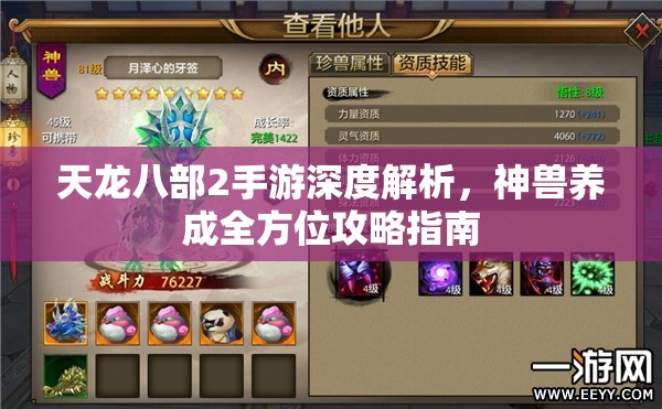 天龙八部2手游深度解析，神兽养成全方位攻略指南