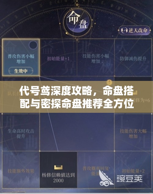 代号鸢深度攻略，命盘搭配与密探命盘推荐全方位大揭秘