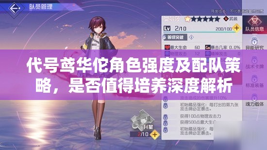 代号鸢华佗角色强度及配队策略，是否值得培养深度解析