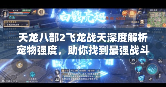 天龙八部2飞龙战天深度解析宠物强度，助你找到最强战斗伙伴！
