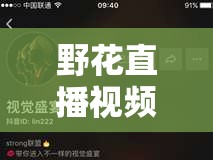 野花直播视频免费高清：畅享简单视觉盛宴
