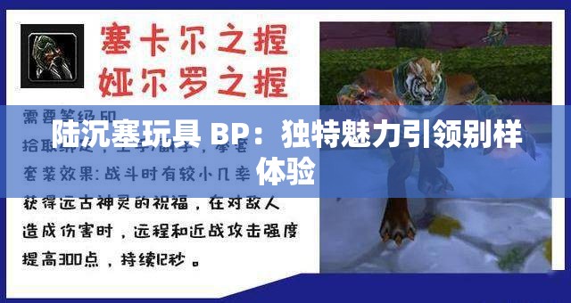 陆沉塞玩具 BP：独特魅力引领别样体验