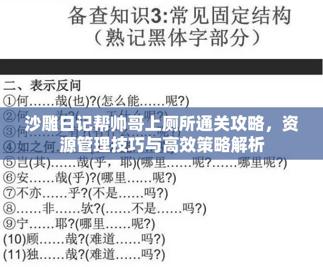 沙雕日记帮帅哥上厕所通关攻略，资源管理技巧与高效策略解析