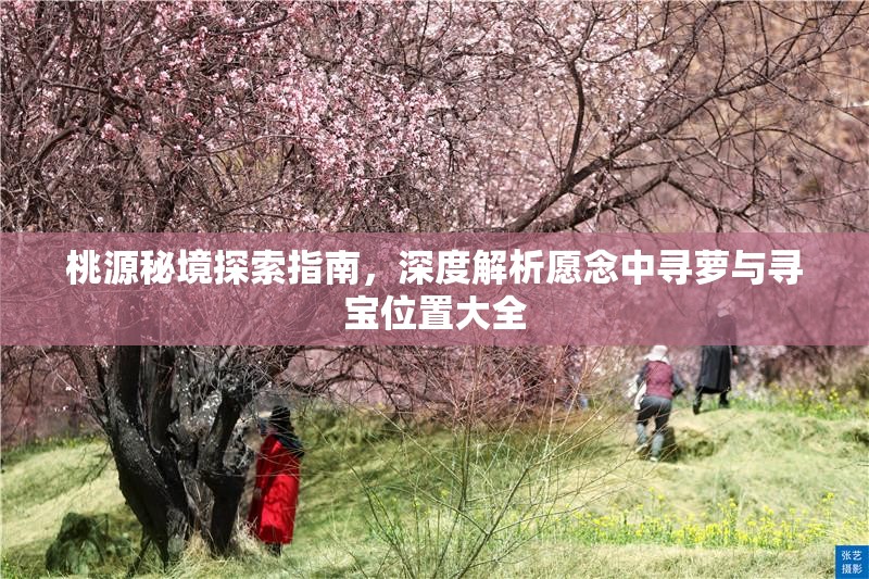 桃源秘境探索指南，深度解析愿念中寻萝与寻宝位置大全