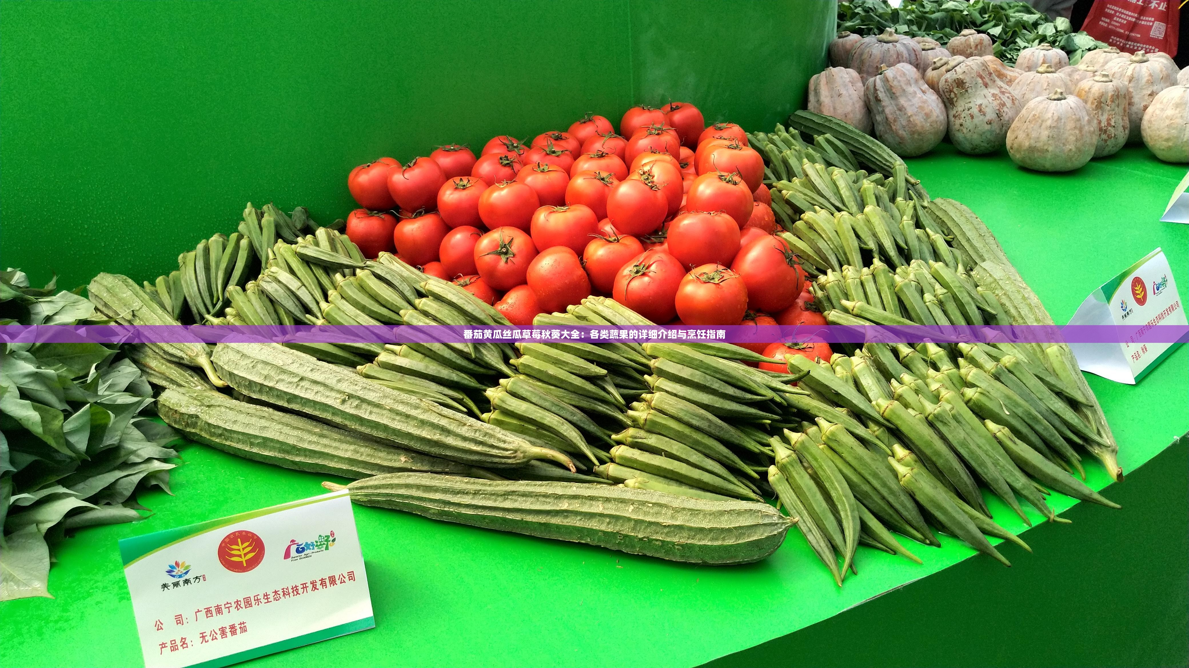 番茄黄瓜丝瓜草莓秋葵大全：各类蔬果的详细介绍与烹饪指南