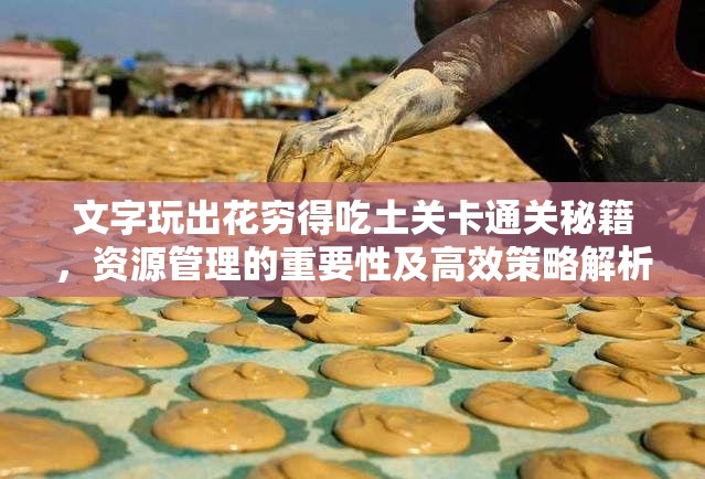 文字玩出花穷得吃土关卡通关秘籍，资源管理的重要性及高效策略解析