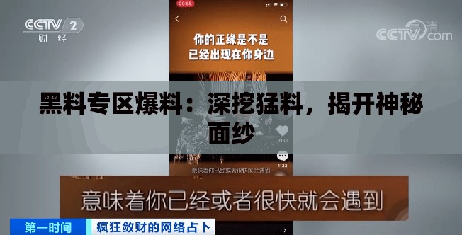 黑料专区爆料：深挖猛料，揭开神秘面纱