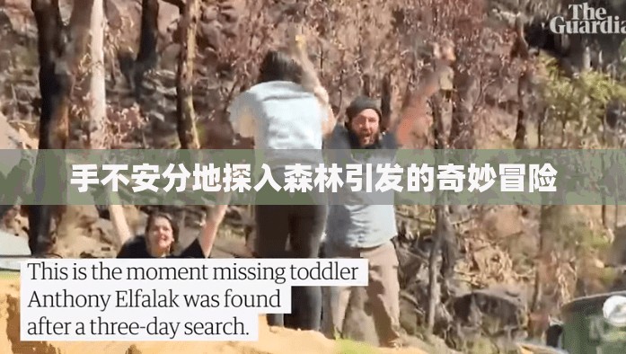 手不安分地探入森林引发的奇妙冒险