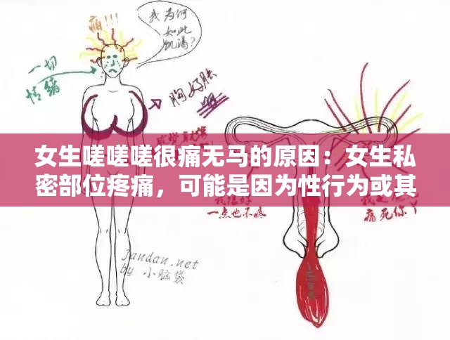 女生嗟嗟嗟很痛无马的原因：女生私密部位疼痛，可能是因为性行为或其他原因导致的损伤或感染