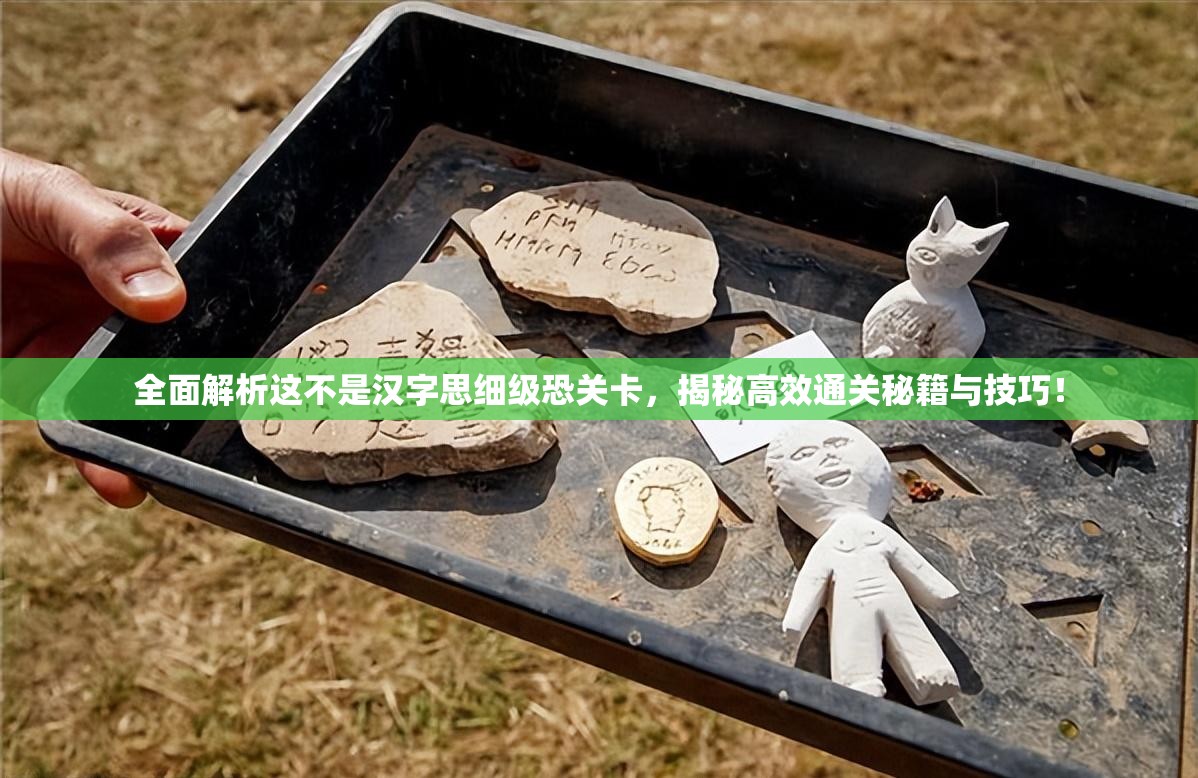 全面解析这不是汉字思细级恐关卡，揭秘高效通关秘籍与技巧！