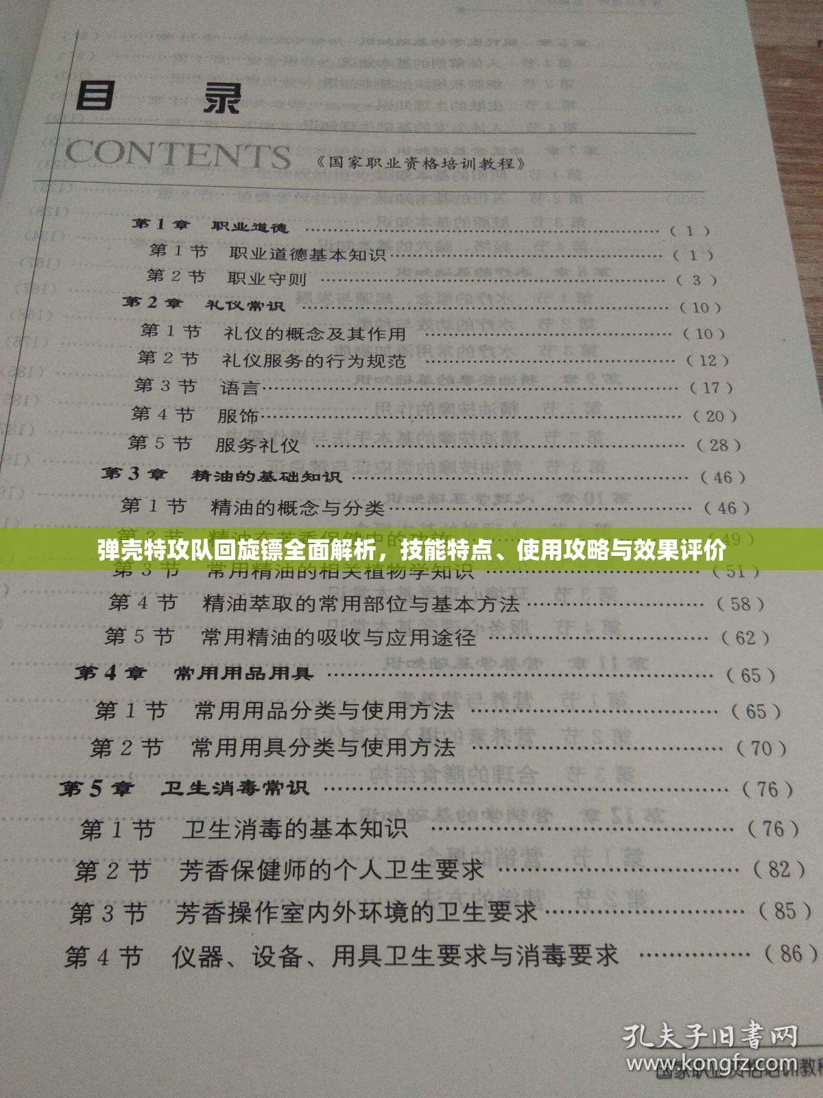 弹壳特攻队回旋镖全面解析，技能特点、使用攻略与效果评价