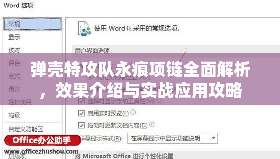 弹壳特攻队永痕项链全面解析，效果介绍与实战应用攻略