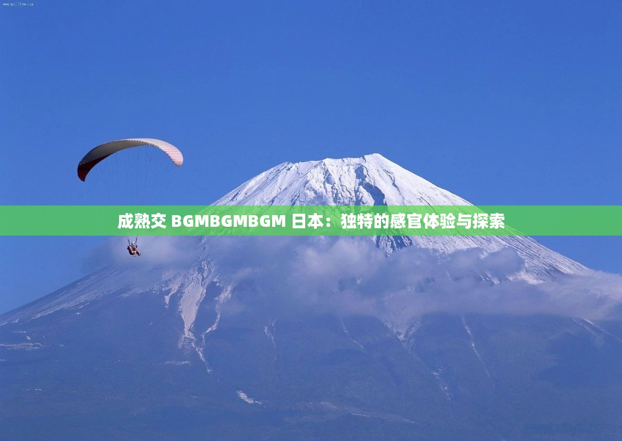 成熟交 BGMBGMBGM 日本：独特的感官体验与探索